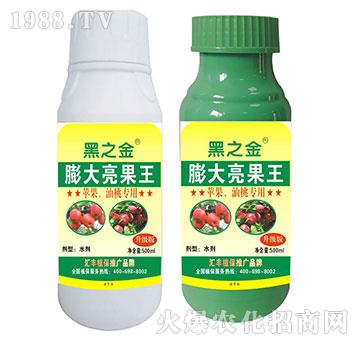 �O�������Ҍ������������-�R�Sֲ��