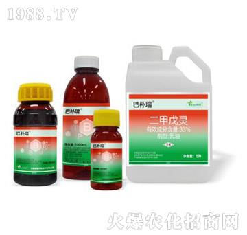 33%�������`-�͘���ѿǰ���]��-�˹����