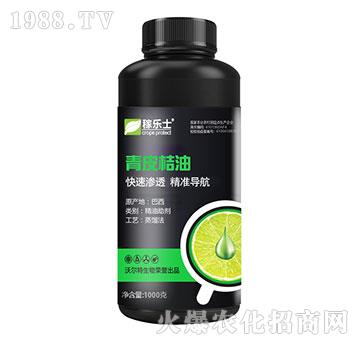 ��Ƥ����-�ژ�ʿ