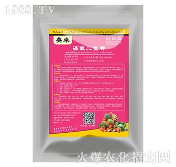 ��������-Ӣ׿-������