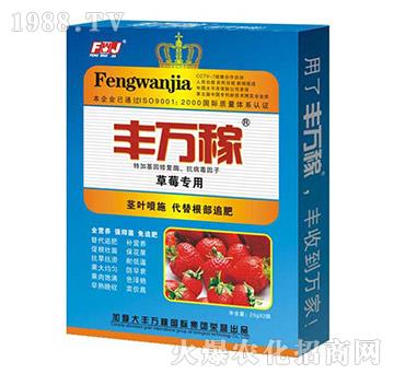 ��ݮ���÷�-�L(zh��ng)Ч������������{(di��o)�턩-�S�f��