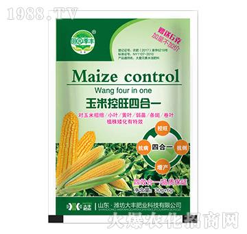 ���׿����ĺ�һ-��@���S-���S�ʘI(y��)