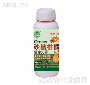 ɰ�Ǹ��ٴ�ѿ���h-��@���S-���S�ʘI(y��)