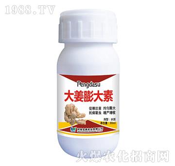 �������-���䌍(sh��)�I(y��)