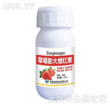 ��ݮ������t��-���䌍(sh��)�I(y��)