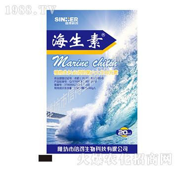 ������-�ŵ�