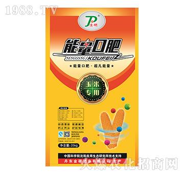 ���׌�(zhu��n)�������ڷ�-����