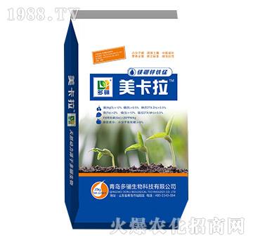 �V���\�F�i-������-���P����