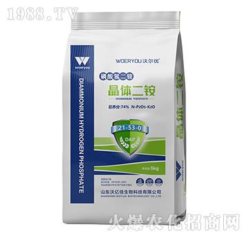 ���w���@21-53-0-�֠���(y��u)