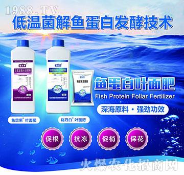 �~�����~���-�~ؕ��+ԣ����-�W��{��