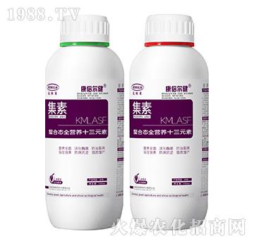 ���ϑB(t��i)ȫ�I�B(y��ng)ʮ��Ԫ�أ�ƿ��-����-��������-��ķ�R