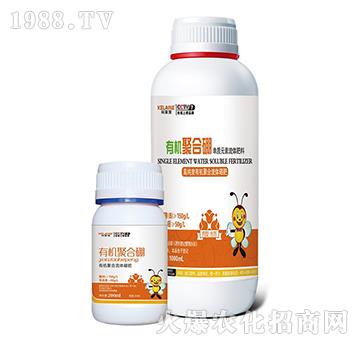 �ЙC(j��)�ۺ���-�W���r(n��ng)�I(y��)