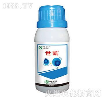 10%���Ѽ׭h(hu��n)��-���P-���r(n��ng)(li��n)��