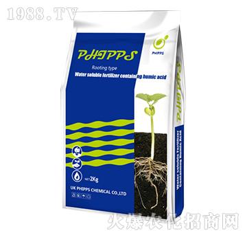 Ӣ���M�ڷ�����˹������-���r�S