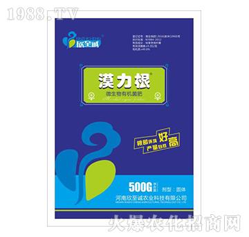 ΢�����ЙC����-Į����-�����\