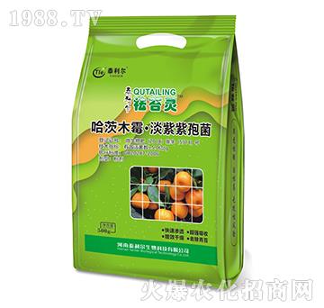 ����ľù���������߾�-��̦�`-̩����