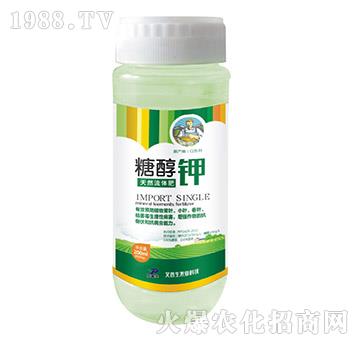 200ml�Ǵ��-������