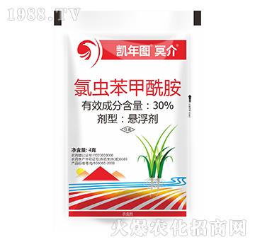 30%���x��������-ڤ��-�P��D