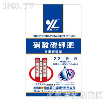 ������⛷�22-9-9-���-� ���