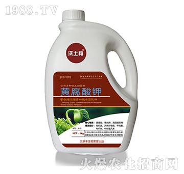 �S�����-ؐ���S