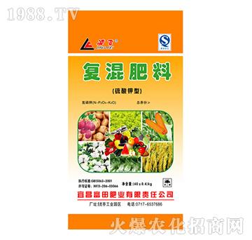 ������͏�(f��)�����-����ʘI(y��)