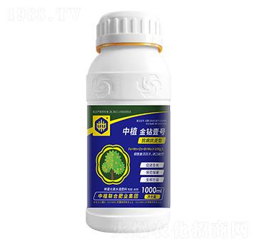 ΢��Ԫ��ˮ�ܷ�-��ֲ���@Ҽ̖-��ֲ(li��n)��