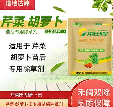 �۲˺��}�����݄�-�۲˺��}�����-�۲˺��}������-���n