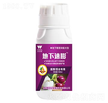 �A�[�ٺό���-��������-�֠���(y��u)