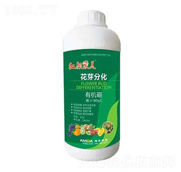 �ЙC��-�t���-��ķ�_