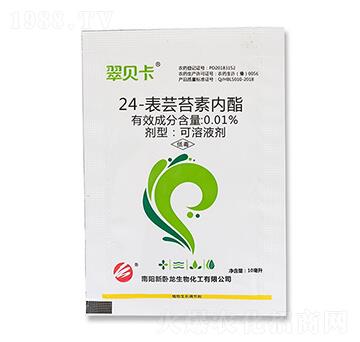 24-���|̦�؃�(n��i)֬-��ؐ��-���ְ���