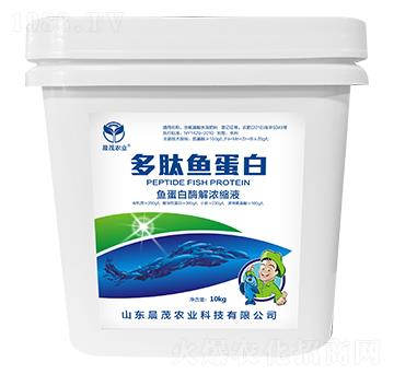 �����~����-��ï�r�I(y��)