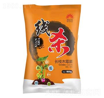 �L֦ľù��-����-�֠���