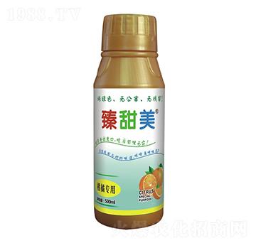 ���ٌ��� ������ ʢ����