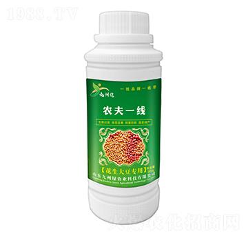 �����󶹌�(zhu��n)���~��� �r(n��ng)��һ�� ���ݾG