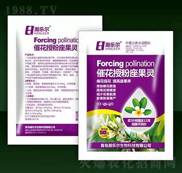 �߻��ڷ������`-嫘���