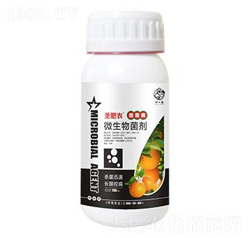 ƿ�b����������΢�������-ʥ���r(n��ng)-��ʥ�r(n��ng)�I(y��)