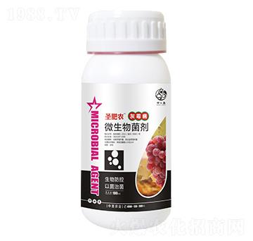 ƿ�b��ù������΢�������-ʥ���r-��ʥ�r�I(y��)