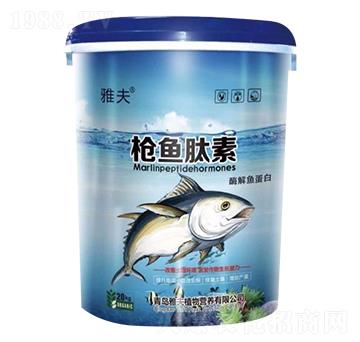 ø���~(y��)����-���~(y��)����-�ŷ�