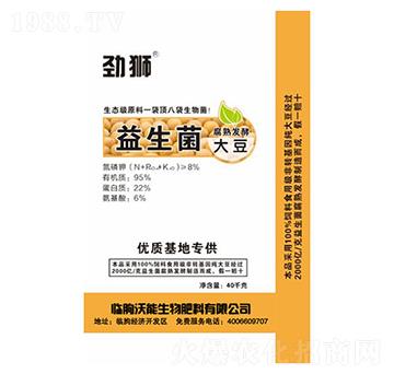 ����������l(f��)�ʹ�-�Ū{-��������