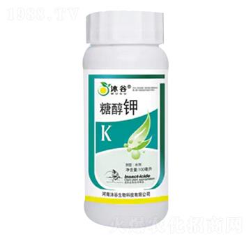 �Ǵ��-�������