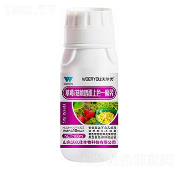 ��ݮ������������ɫһ���`-�֠���(y��u)