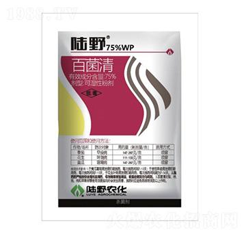 75%�پ���ɝ��Էۄ�-�Ұ�r��