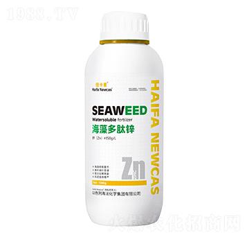 ��������\-�~����-���r(n��ng)�W��