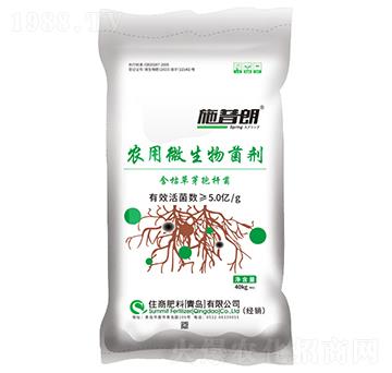 �װ�΢�������5�|-ʩ����-ס�̷���