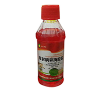 30%�ݸ�좮������}