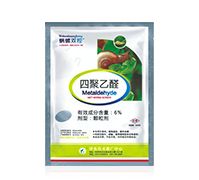 6%�ľ���ȩ-΁���p��