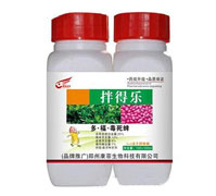 25%�ࡤ����������