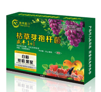 �ݲ�ѿ�ߗU��