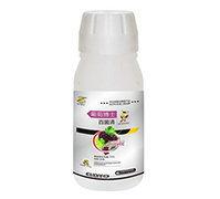 75%�پ���-���Ѳ�ʿ-����