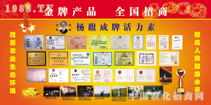 �����ֲ��I(y��ng)�B(y��ng)�����޹�˾�s�u(y��)չʾ